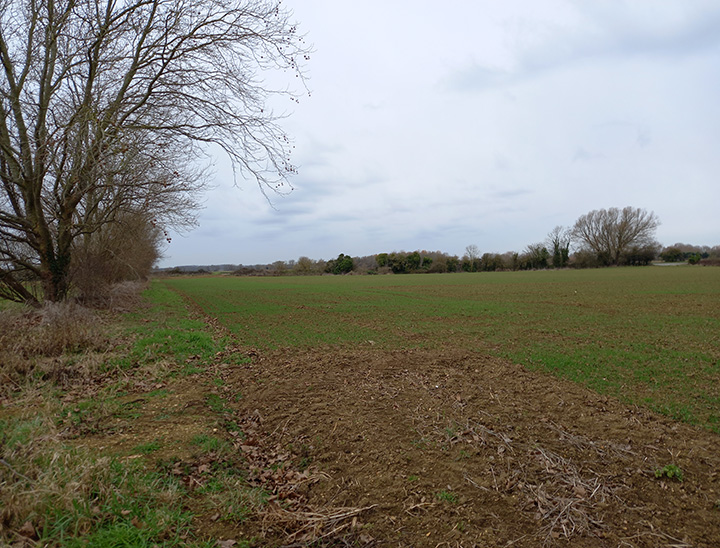 Views across the site