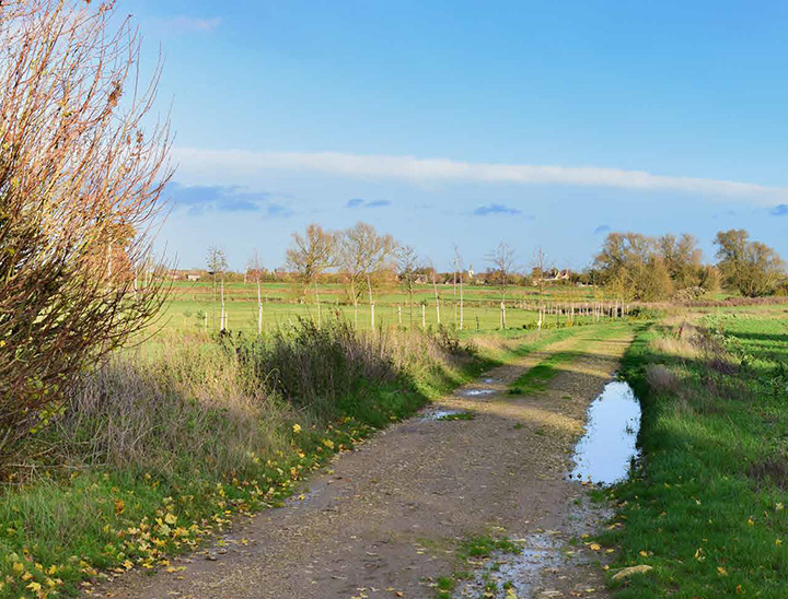Looking east towards the site from PRoW BrAW/4, on edge of the  Braceborough Conservation Area