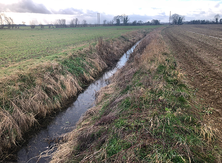 Image of a sustainable drainage system